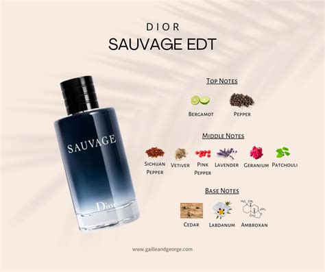 dior sauvage jak czytac|dior sauvage cologne top notes.